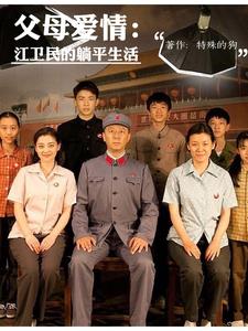 年代：我在七零画小人书