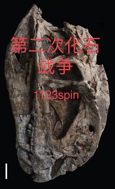 骨，尘，与中生代众神的战争